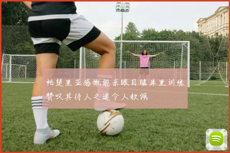 帕楚里亚感慨能亲眼目睹库里训练赞叹其待人之道令人钦佩